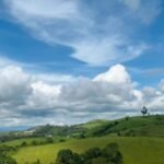 betterimage 1769076785017