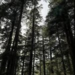 betterimage 1769076868314