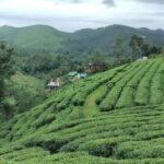 betterimage 1769076902422