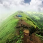 img 20260122 152643 (1)