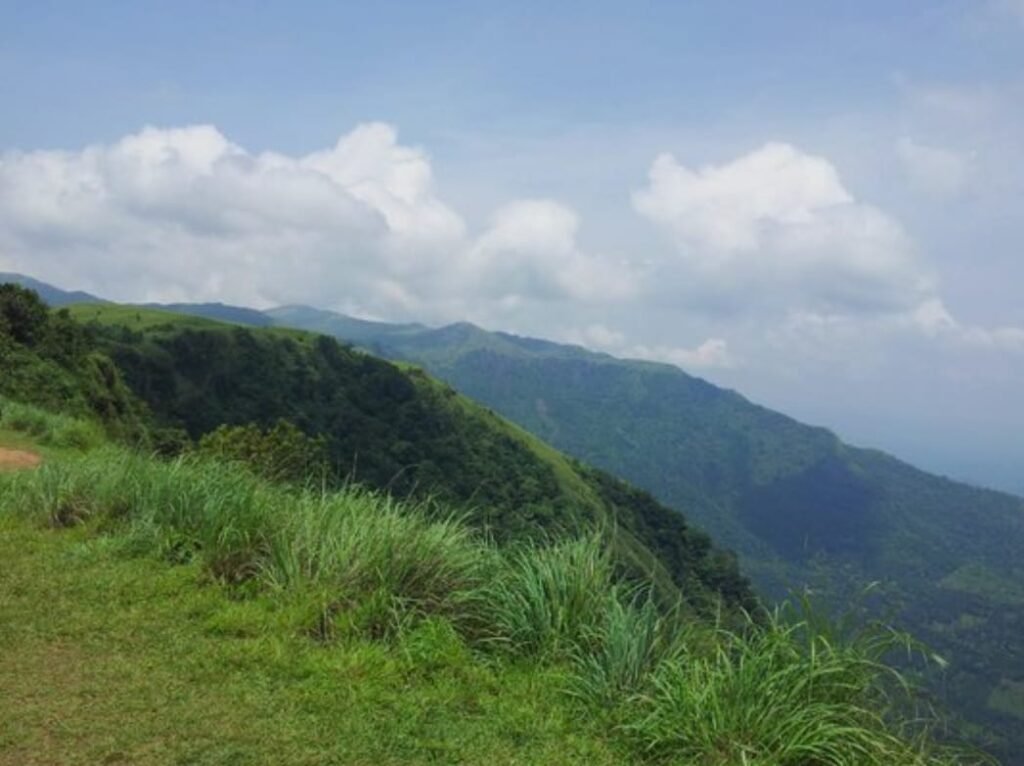 whatsapp image 2026 02 03 at 20.11.03