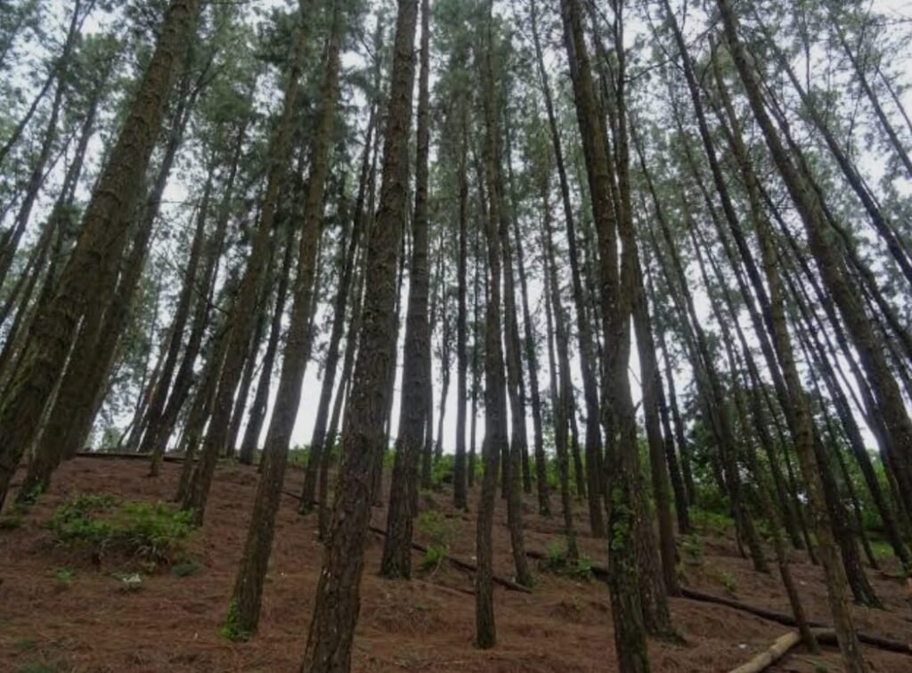 whatsapp image 2026 02 03 at 20.15.57