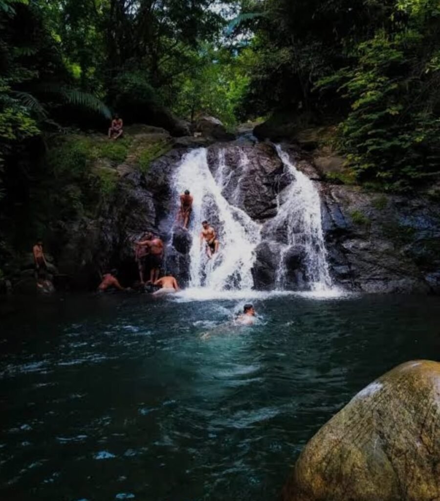 whatsapp image 2026 02 04 at 19.31.30