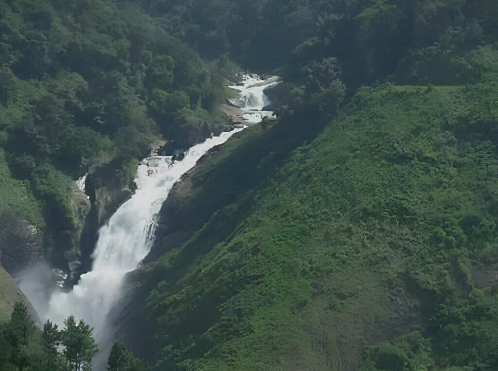 whatsapp image 2026 02 04 at 19.31.31